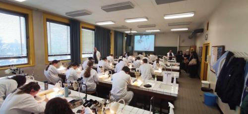 une salle de TP de zoologie